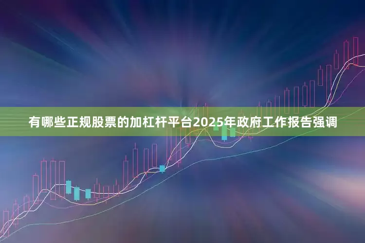 有哪些正规股票的加杠杆平台2025年政府工作报告强调
