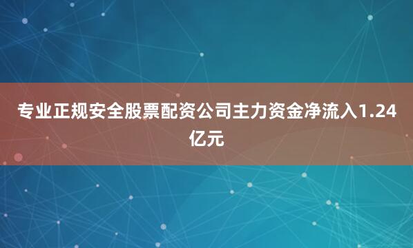 专业正规安全股票配资公司主力资金净流入1.24亿元