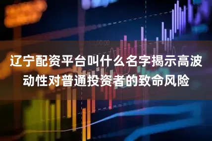 辽宁配资平台叫什么名字揭示高波动性对普通投资者的致命风险