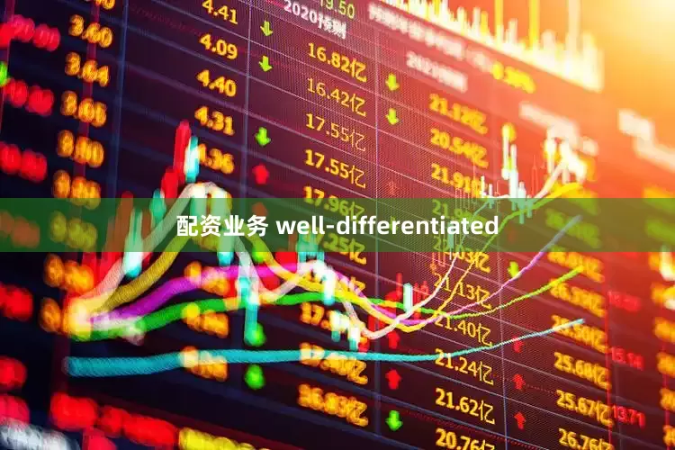配资业务 well-differentiated