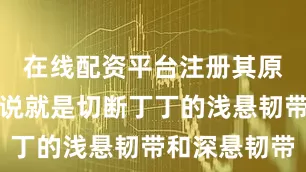 在线配资平台注册其原理简单的说就是切断丁丁的浅悬韧带和深悬韧带